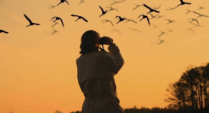 Agriturismo b&b for birdwatching in autumn