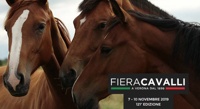 Fieracavalli 2019 and where to sleep for the Verona fair