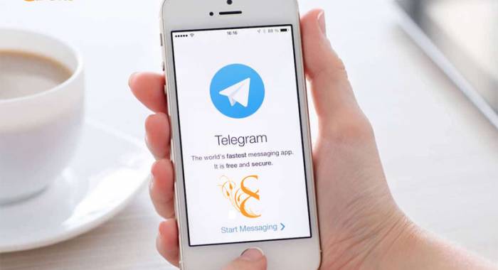 Telegram Otto Ducati d'Oro per un agriturismo b&b sempre più social!