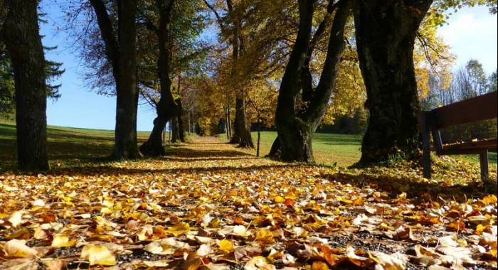 5 idee per un weekend autunnale fra Verona e Mantova