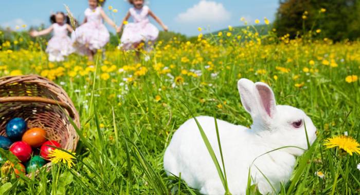 Dove trascorrere le vacanze di Pasqua e pasquetta a Verona