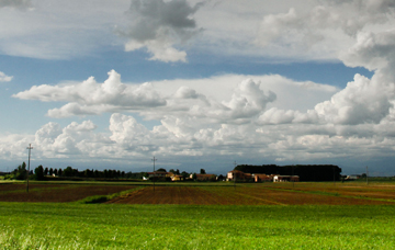 Passeggiata tra le risaie