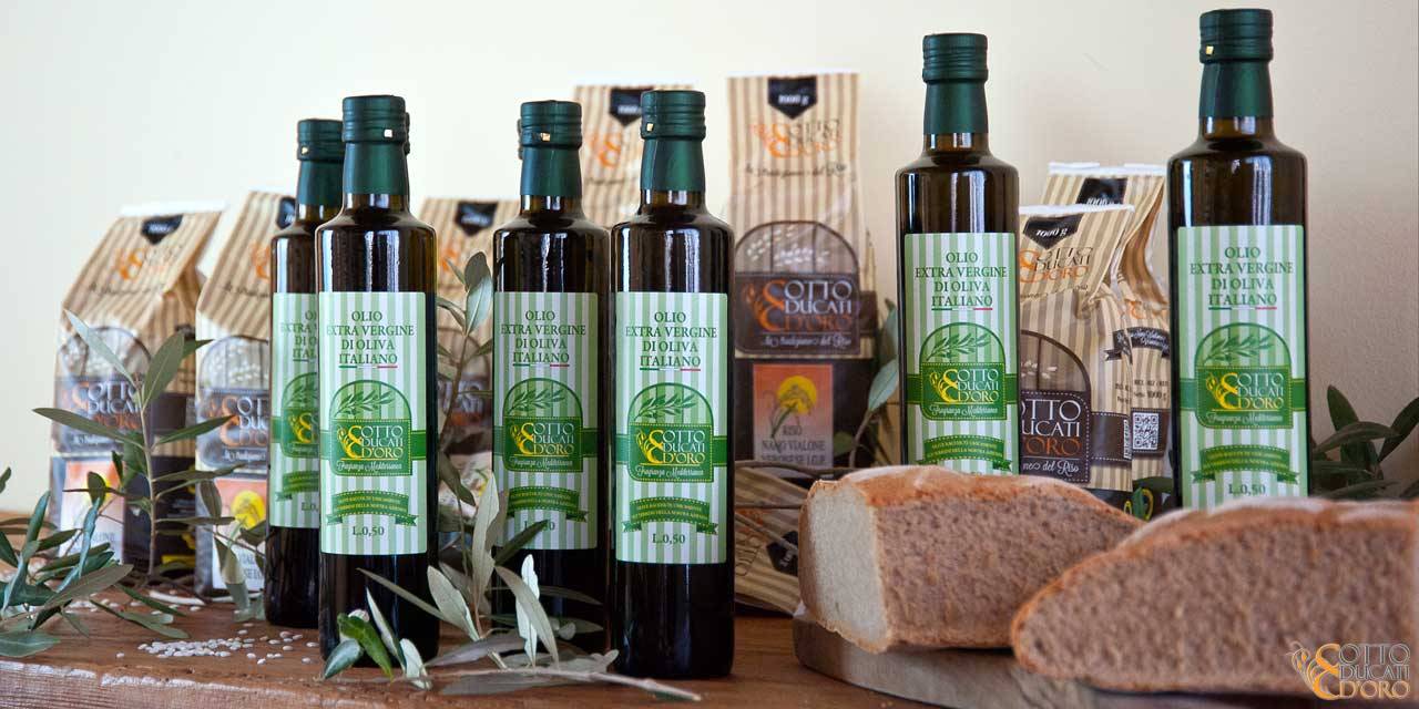 Olio extra vergine di oliva di produzione Otto Ducati d'Oro, dalle Colline di Cecina in Toscana,