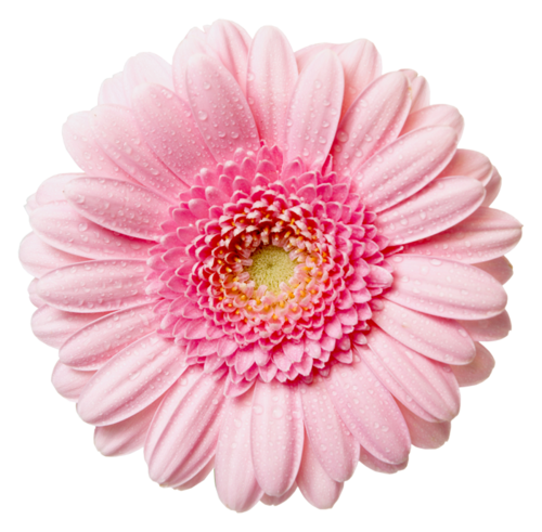 What to give for present for the Women's Day 2018: charme and elegance